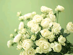 b33700ff.bmp