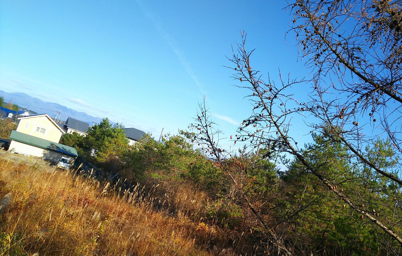 IMG_20201117_093316_743