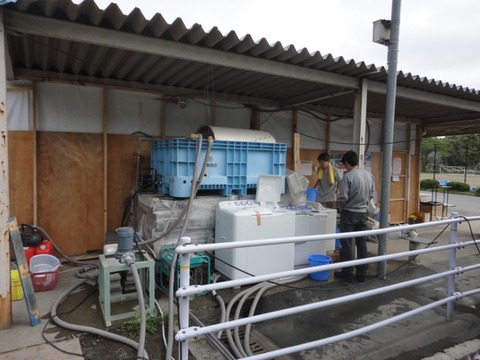 5DSC00930