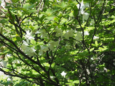 P6136028