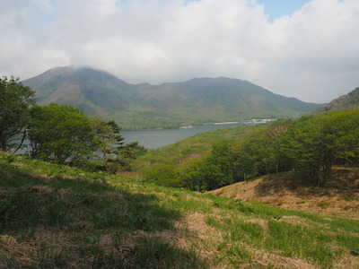 P6015465