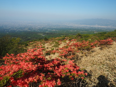 P5244393