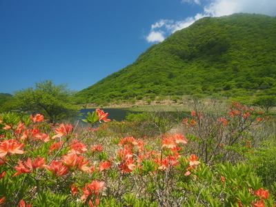 P6136188