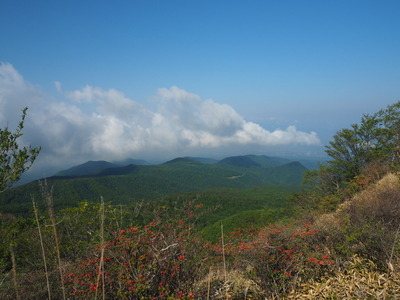 P6015107