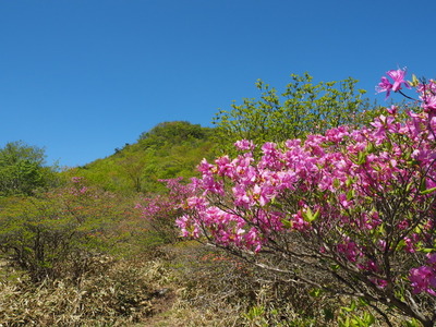 P5244515
