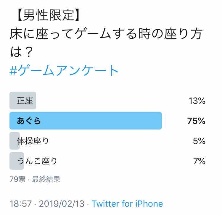 床に座ってゲームする時の座り方は どんな座り方ですか ビータのゲームアンケートブログ