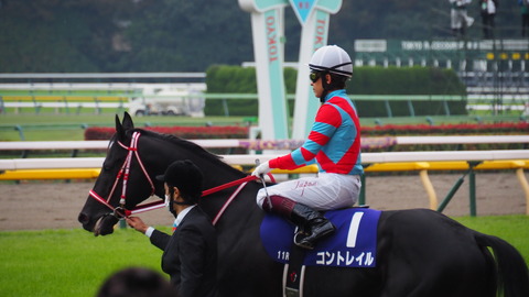 競馬】コントレイル三冠記念・小皿セット／JRA／入手困難 - メルカリ