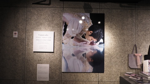 P7263346