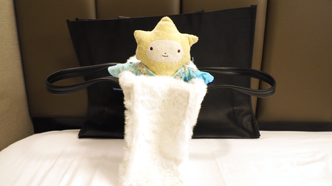 PB033583 のコピー