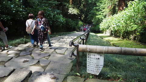 P6237395