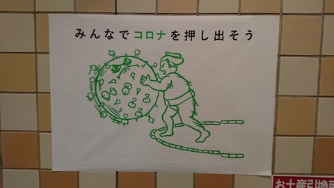 大相撲 スポーツ見るもの語る者 フモフモコラム