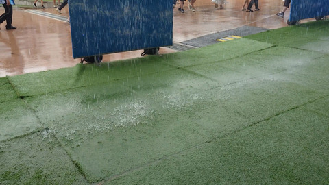 20231204_150540.00_00_42_23.�Ż߲�026