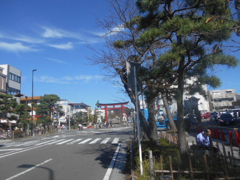 DSCN8578