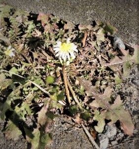 DSCN8979