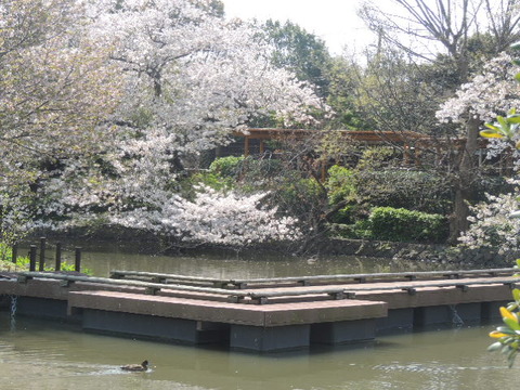 DSCN9371