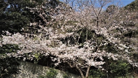 DSCN9298
