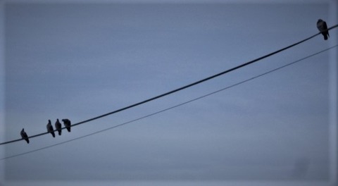 DSCN9048