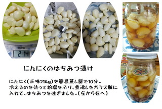 にんにくのはちみつ漬け20240804