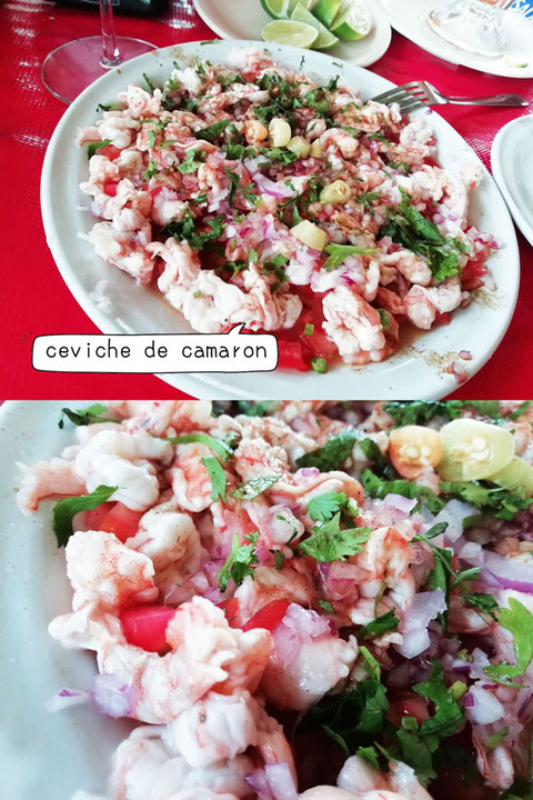 b_comida2019_06_15-18