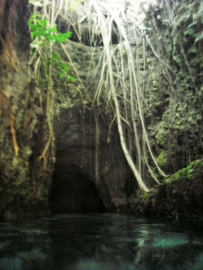 b_xcaret1-8