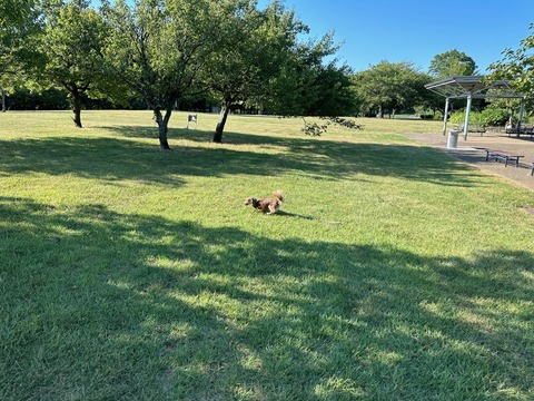 C3B97E08-956B-4F62-9BE1-E9028932F9B9