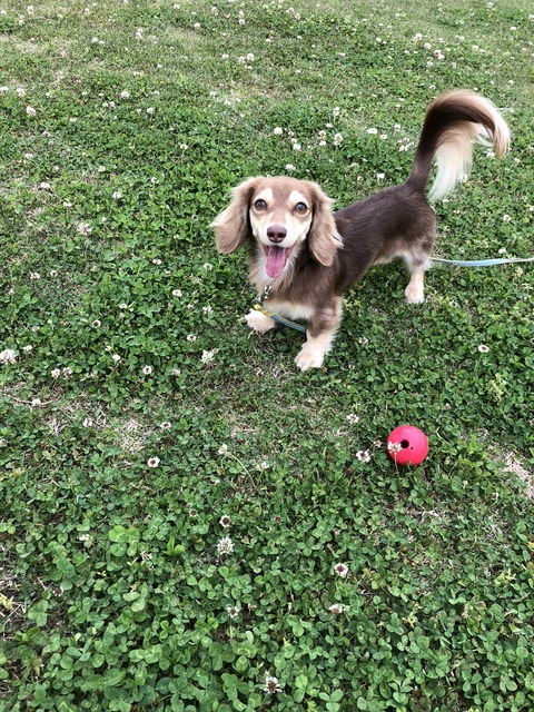 23403914-2B51-4DCB-BF94-731FF76D053E