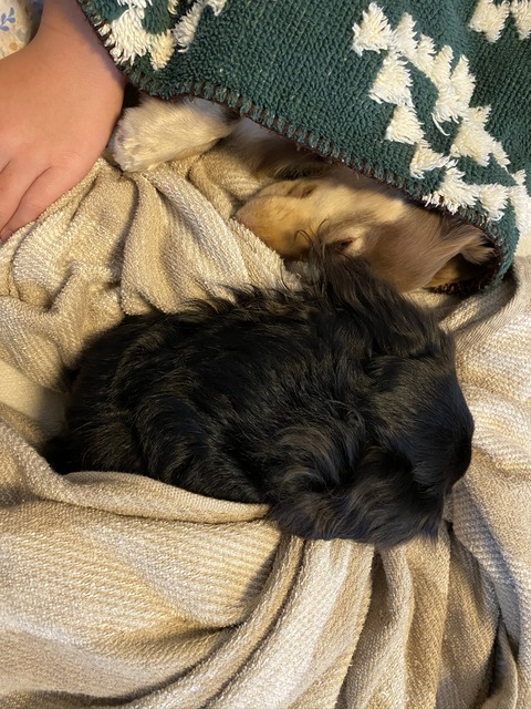 05F4567D-1071-4FBE-AB6B-6EF2E5AB78B0