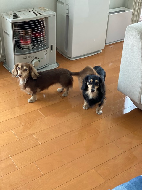 F277BF01-28F9-42ED-A28E-84DD3B2535BE