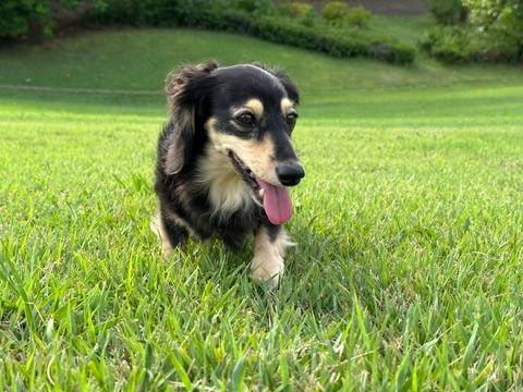 14B3B7F8-27BD-4E43-A18A-AE1B2B1373E3