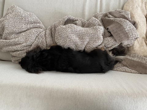 45AEC09F-83F8-4316-BCD8-FE9738DD6E81