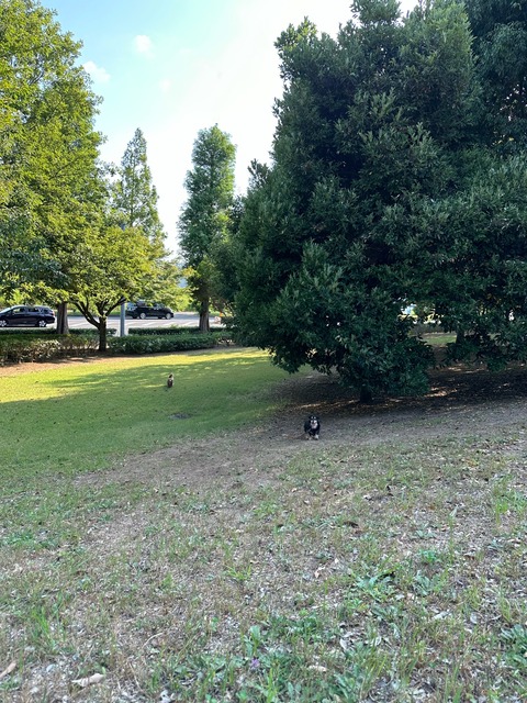 5B720C77-A5A2-4E77-B4F8-08F3633307FC