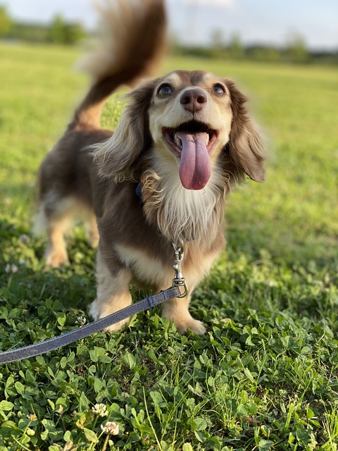 836619B5-8213-4EFF-B448-5F2E9D112ED1