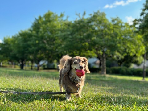 394BEE13-B137-4E9D-8BF5-C34239E99052