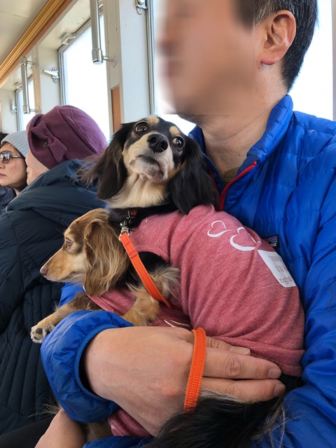 68A68A77-017B-435B-8CA4-4081E1A6D7D7