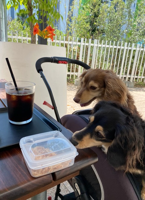 E5C58597-6DB4-438F-A578-ED607ABA2D6E