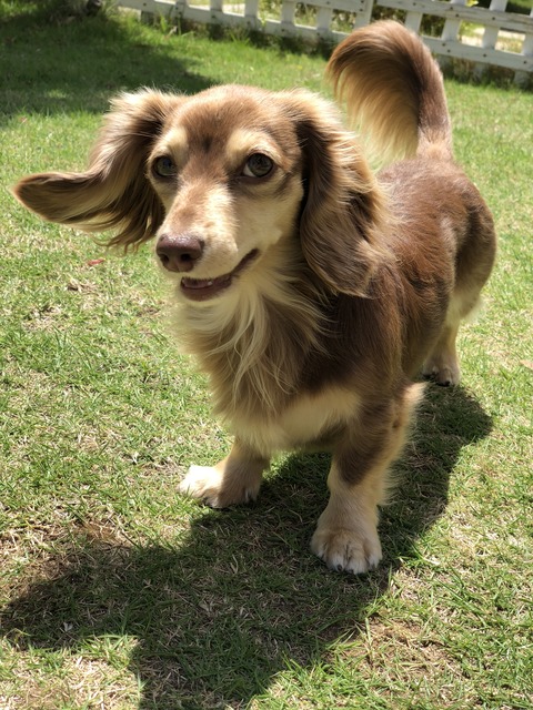 F8FB4DC5-0110-4032-B150-AB04437BA8A0