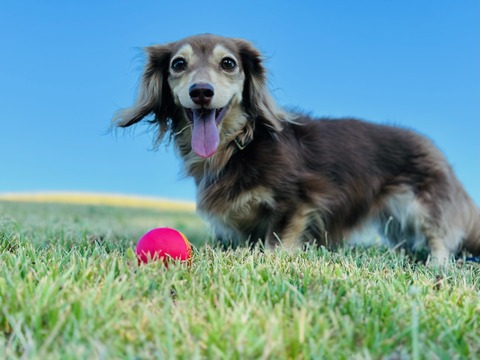 BF2F9B54-4B2D-4707-8083-DB4643669451