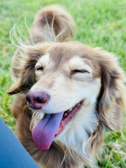 E7F9B162-1FF4-4012-8BED-0C7E4EE71C5A