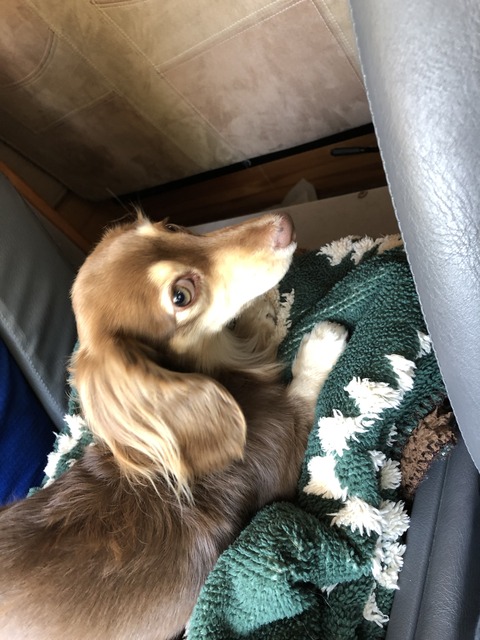 068B68DD-414A-4565-AC01-97697C9B7D38