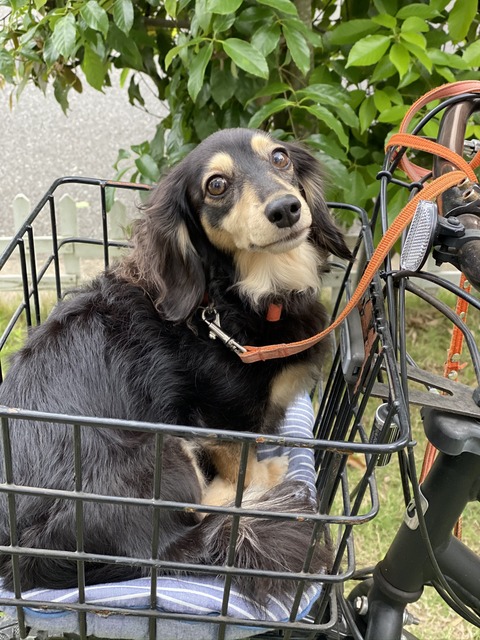 7FB4A34B-C234-4A3E-AA2A-165468D692A5