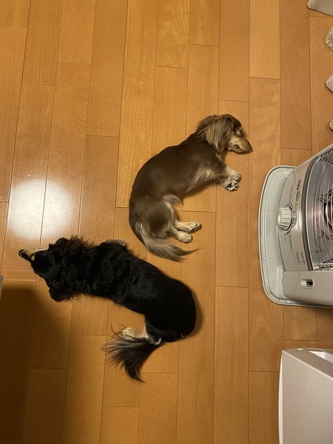 926DC7EE-7979-402F-8956-CC1A24296E68