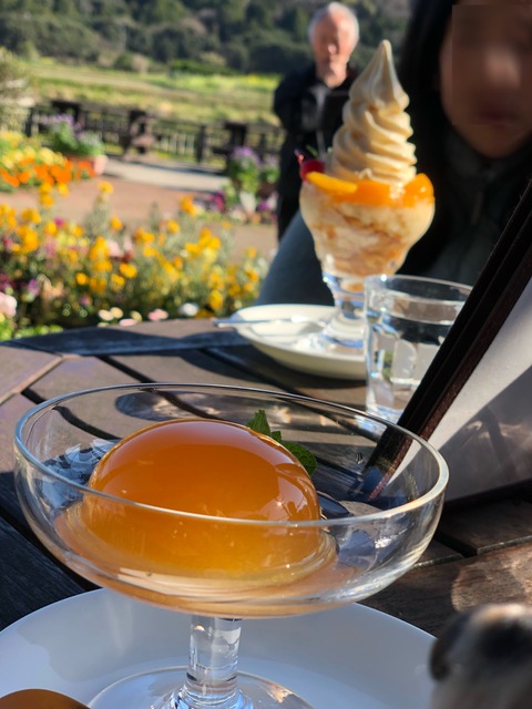 06E6481F-775E-4033-9295-07A4CC23468B