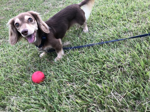 911BD6B4-035D-4CDF-9311-D383E3230C5C