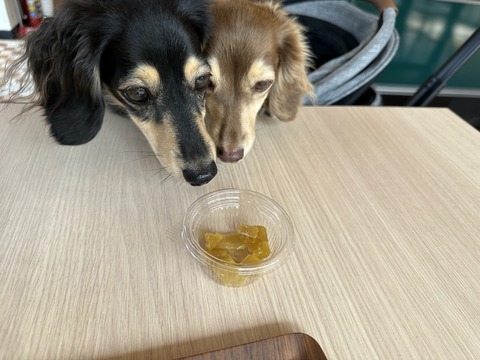 4E412025-C8DF-495A-9533-1598AD215062