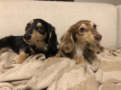 D87B46A6-73F6-42A9-83FA-53650AAEFEBC