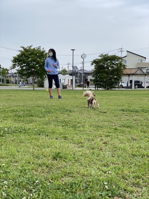 752CABAE-263F-41F6-BF24-6F14DAE32087