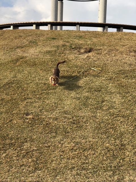 F713D678-339E-48DB-8C4A-FFA846E2EDDC