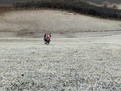 AF2E4B35-58CF-4679-8A17-01DB6085A1DC