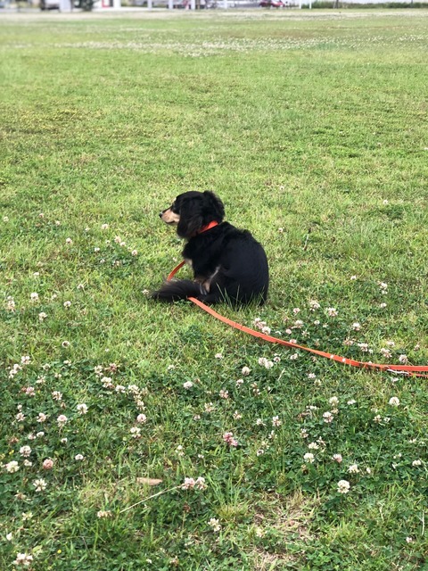 C6E45FED-89D9-44C3-B16E-1A38A422C5C1