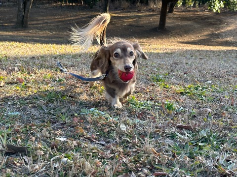 BEE6635E-D4F5-4286-8A10-3B811782D503